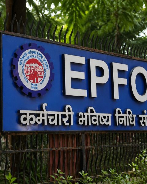 EPFO 8.25% Interest Credit: Latest Timeline and Account Check Steps